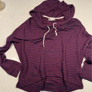 Abercrombie & Fitch Pink and Blue Striped Hoodie
